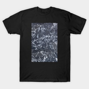 Detailed Seaside Etched Stone Surface T-Shirt